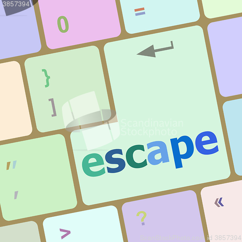 Image of Computer keyboard key with escape word vector illustration