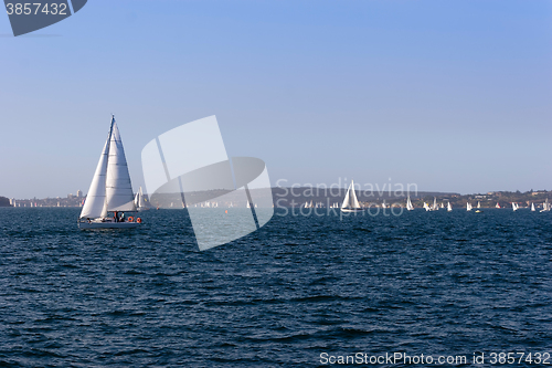 Image of Sailing on the Harbour