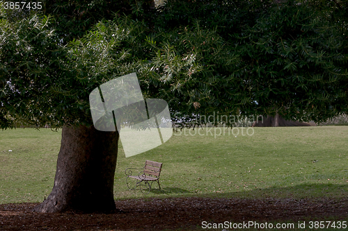 Image of A Bench In The Sun