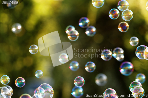 Image of Soap bubbles