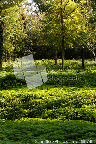 Image of Green park
