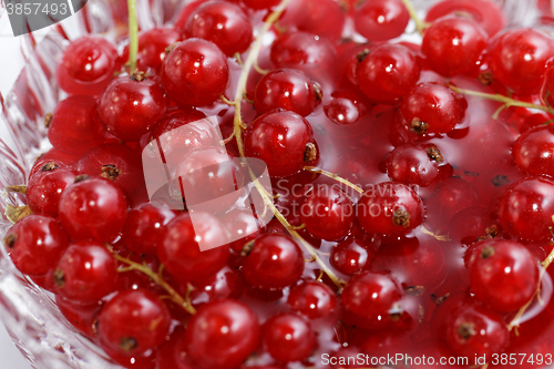 Image of Red current