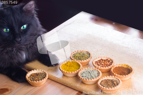 Image of spices and cat expert in smell and taste