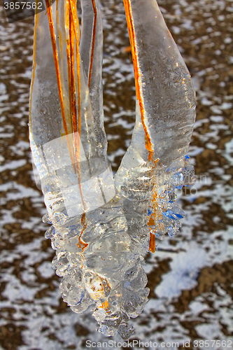 Image of freezing rain weather in autumn