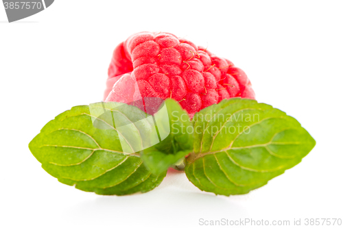 Image of Raspberry fruit isolated