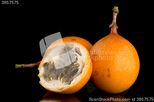 Image of Passion fruit maracuja granadilla