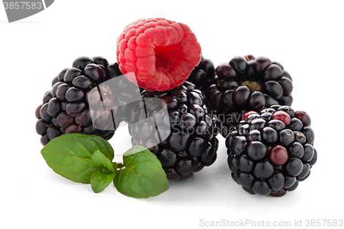 Image of Raspberry with blackberry 