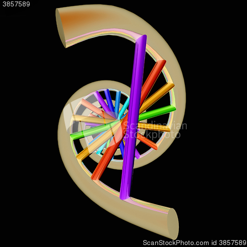 Image of DNA structure model