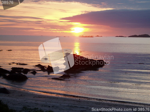 Image of Seagull in midnight sun. Lofoten at 3 a.m.