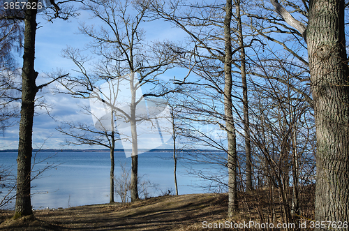 Image of Sunny spring season view by a calm lake