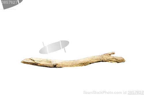 Image of Driftwood isolated on white