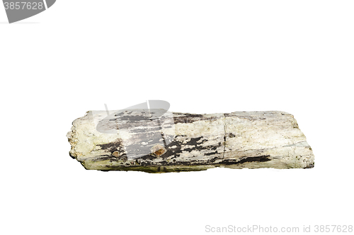 Image of Piece of driftwood