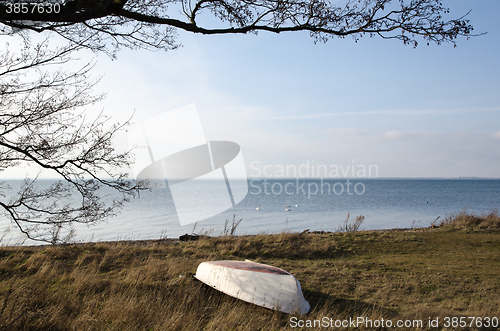 Image of Calm coastal spring view