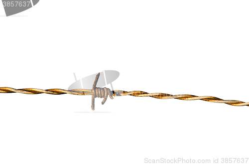 Image of Barb wire detail isolated on white