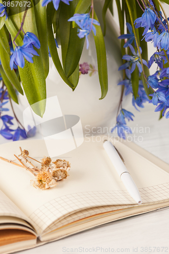 Image of The bouquet of  blue primroses on the table