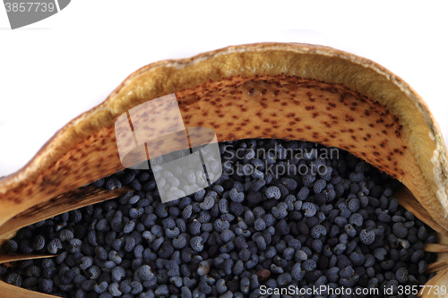 Image of poppy seeds texture