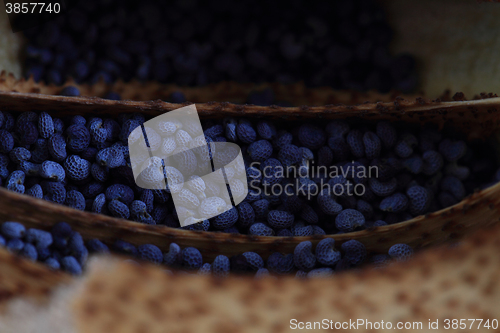 Image of poppy seeds texture