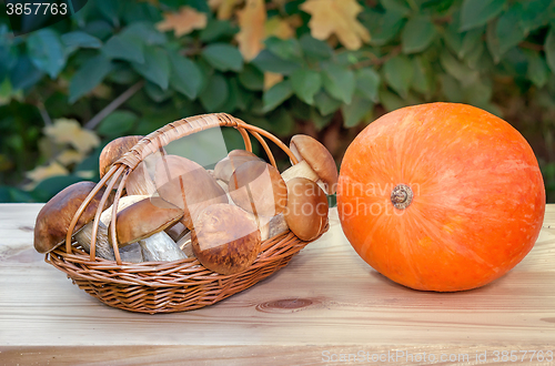 Image of Still life: basket with mushrooms and pumpkin.
