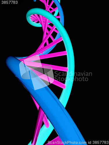 Image of DNA structure model