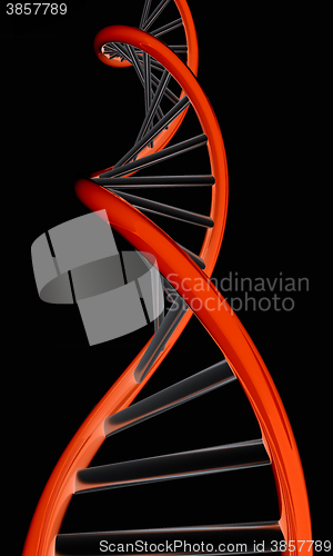 Image of DNA structure model