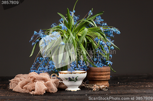 Image of Tea with  lemon and bouquet of  blue primroses on the table