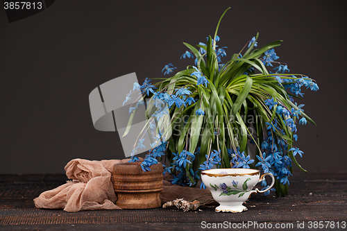 Image of Tea with  lemon and bouquet of  blue primroses on the table