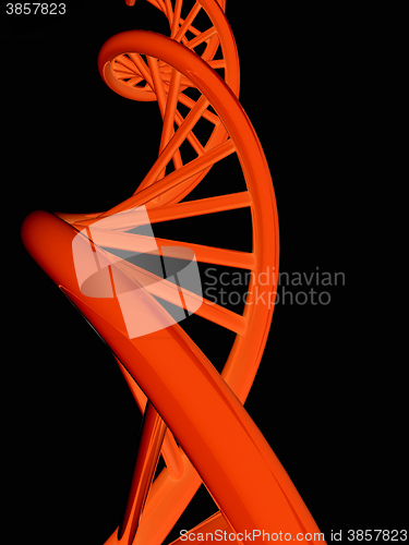 Image of DNA structure model