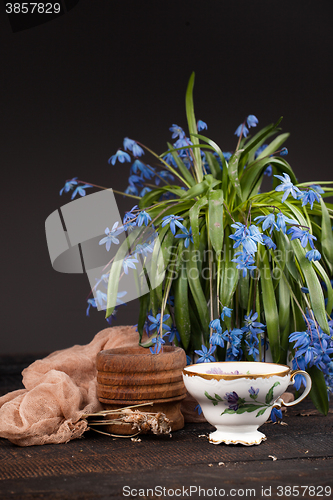 Image of Tea with  lemon and bouquet of  blue primroses on the table