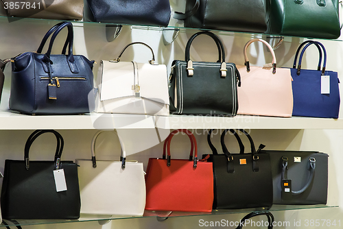 Image of The variety of bags on display.