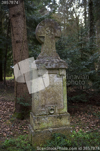 Image of Overgrown grave stone