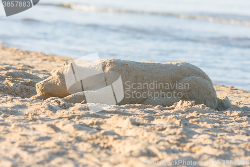 Image of Sand figure sleplena dog on the beach