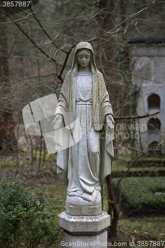 Image of Overgrown grave stone