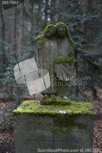 Image of Overgrown grave stones 