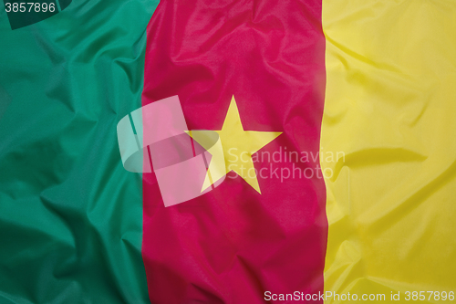 Image of Flag of Cameroon