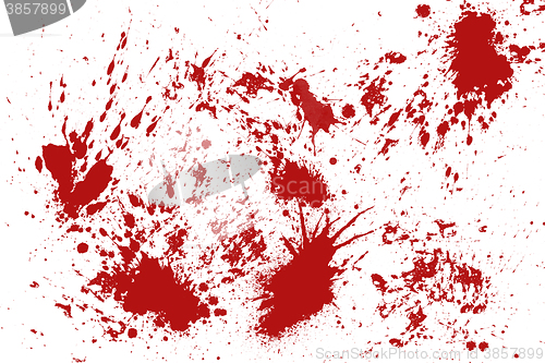 Image of Blood splatter