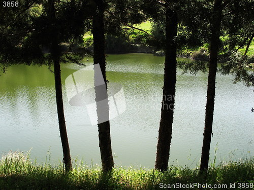 Image of Water at the back. Cyprus