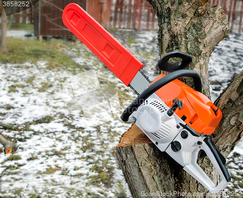 Image of Chainsaw and cut tree branches.