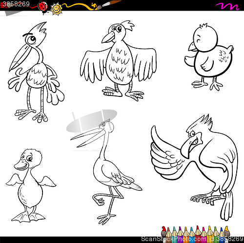Image of birds cartoon coloring page