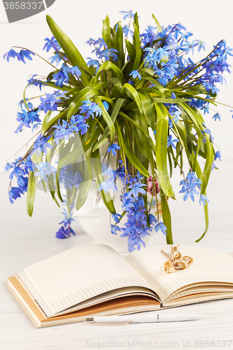 Image of The bouquet of  blue primroses on the table