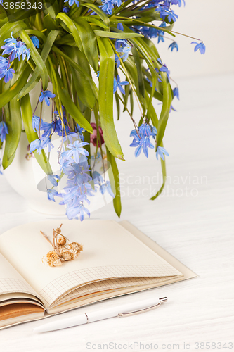 Image of The bouquet of  blue primroses on the table
