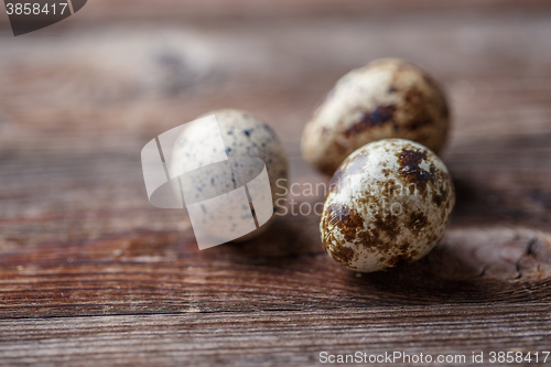 Image of Group of quail eggs on thewooden background