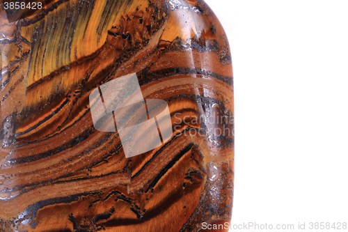 Image of tiger eye isolated