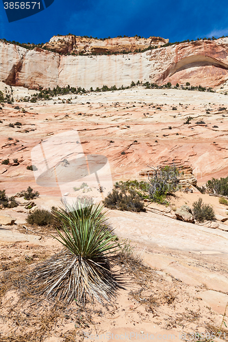 Image of Zion National Park