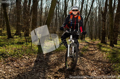 Image of Mountain biker riding on bike in springforest landscape. 