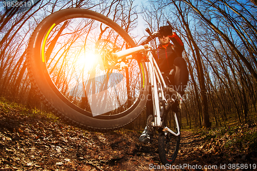 Image of Cyclist Riding the Bike