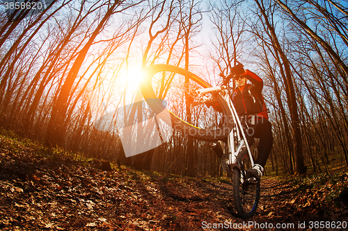 Image of Cyclist Riding the Bike