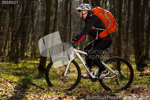 Image of Mountain biker riding on bike in springforest landscape. 