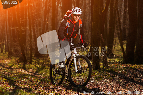 Image of Mountain biker riding on bike in springforest landscape. 