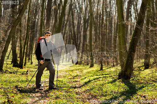 Image of Active healthy man hiking in beautiful forest