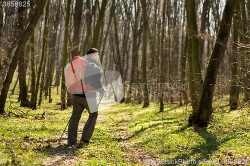 Image of Active healthy man hiking in beautiful forest